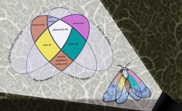 Совместимость стимулов и двойственность в условиях неполной информации